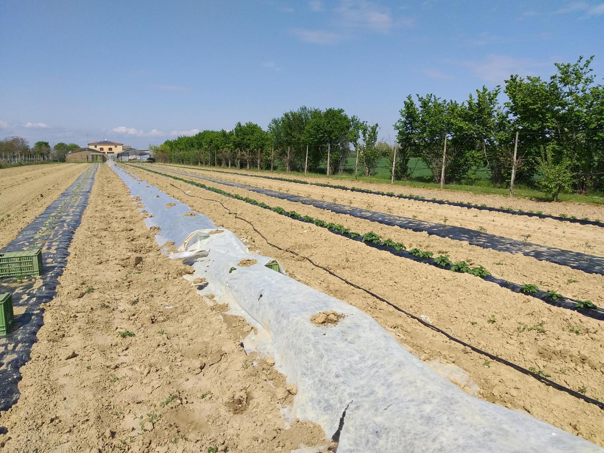 Agriturismo Il Melograno Tessera Εξωτερικό φωτογραφία